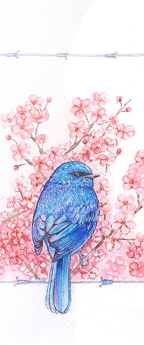 Sakura by Marian Gorin