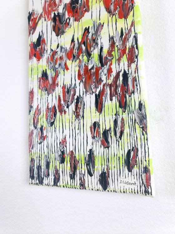 Poppy Flowers 1