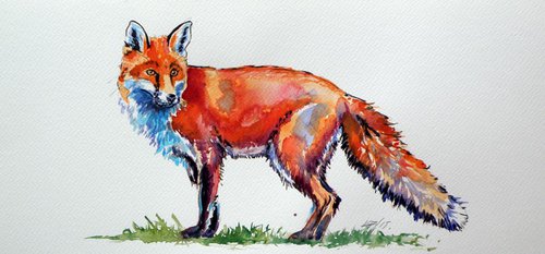 Red fox by Kovács Anna Brigitta