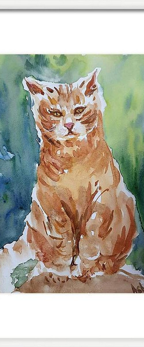 Ranga, the Orange cat by Asha Shenoy