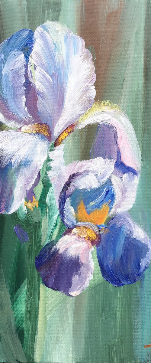 Irises by Elena Sokolova