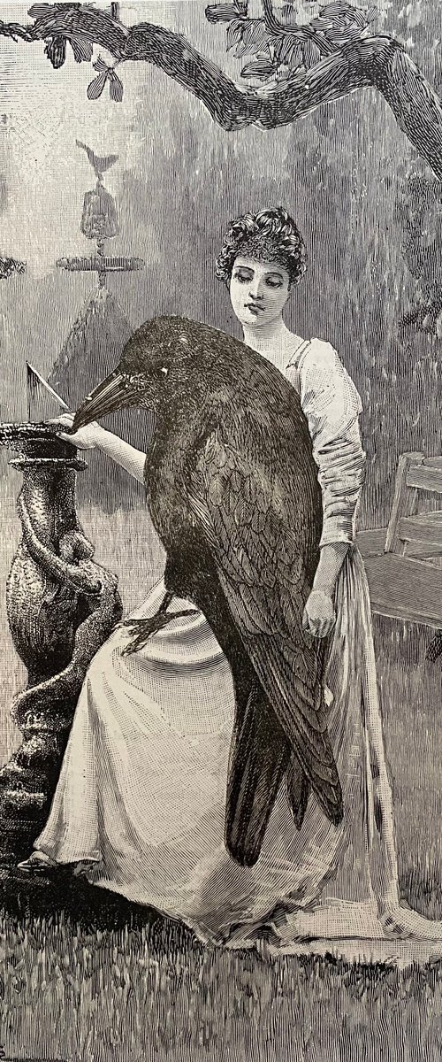A Companion by Tudor Evans
