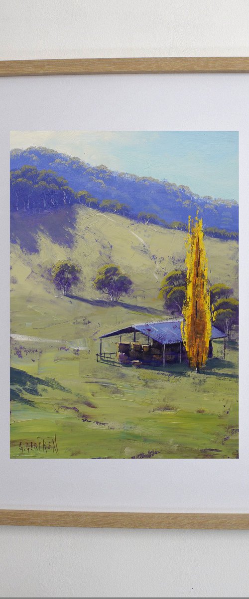 Tarana Valley Afternoon by Graham Gercken