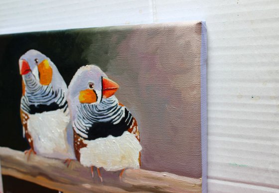 Zebra Finches