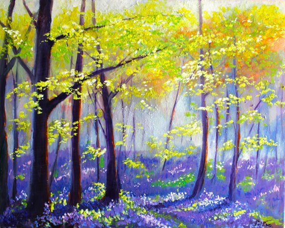 Bluebell Impressions