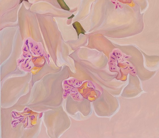 Pastel Orchids
