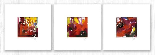 Abstract Florals Collection 12 - 3 Flower Paintings in mats by Kathy Morton Stanion by Kathy Morton Stanion