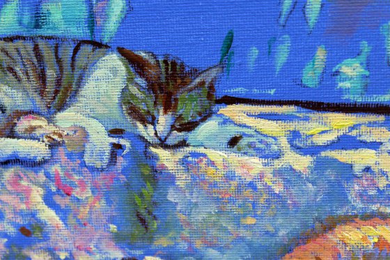 Kitty’s in Provence #1