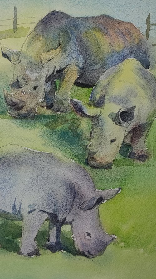 Rhinoceros by Jing Chen