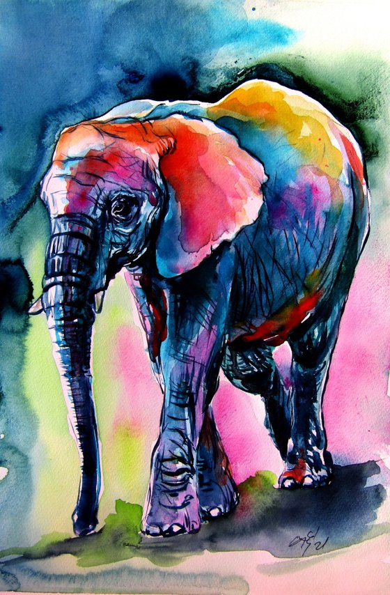 Elephant at night