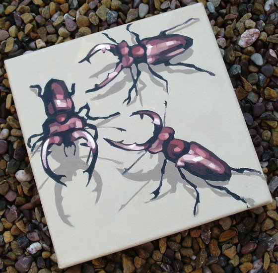 Three Stag Beetles