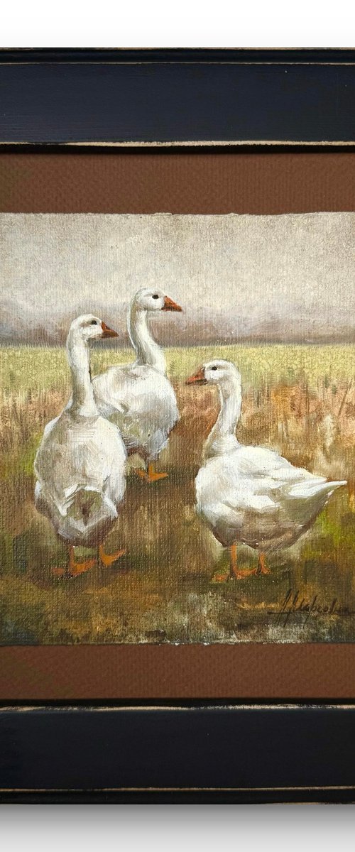 Geese by Alina Marsovna