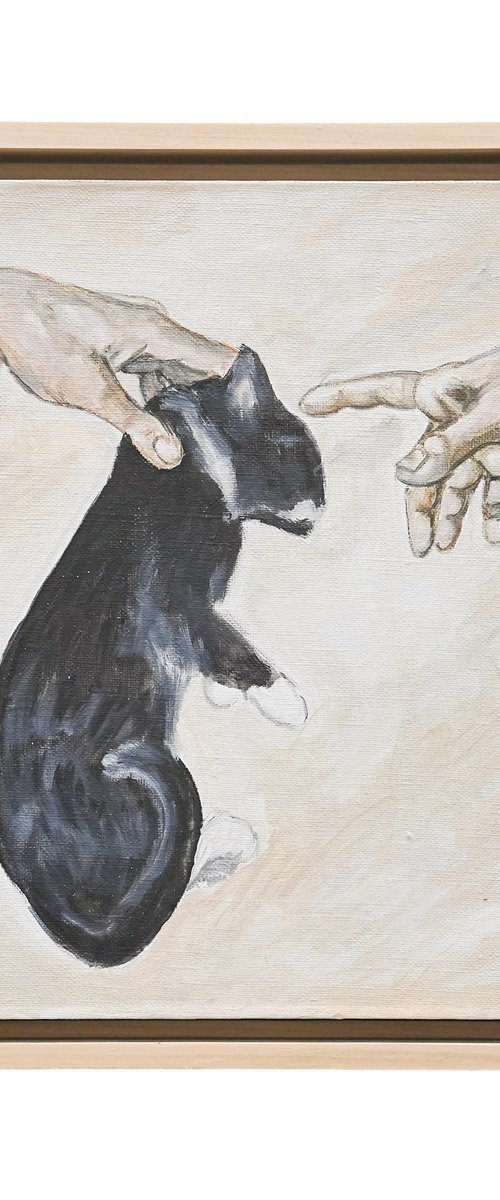 The Creation Of Purr by VICTO