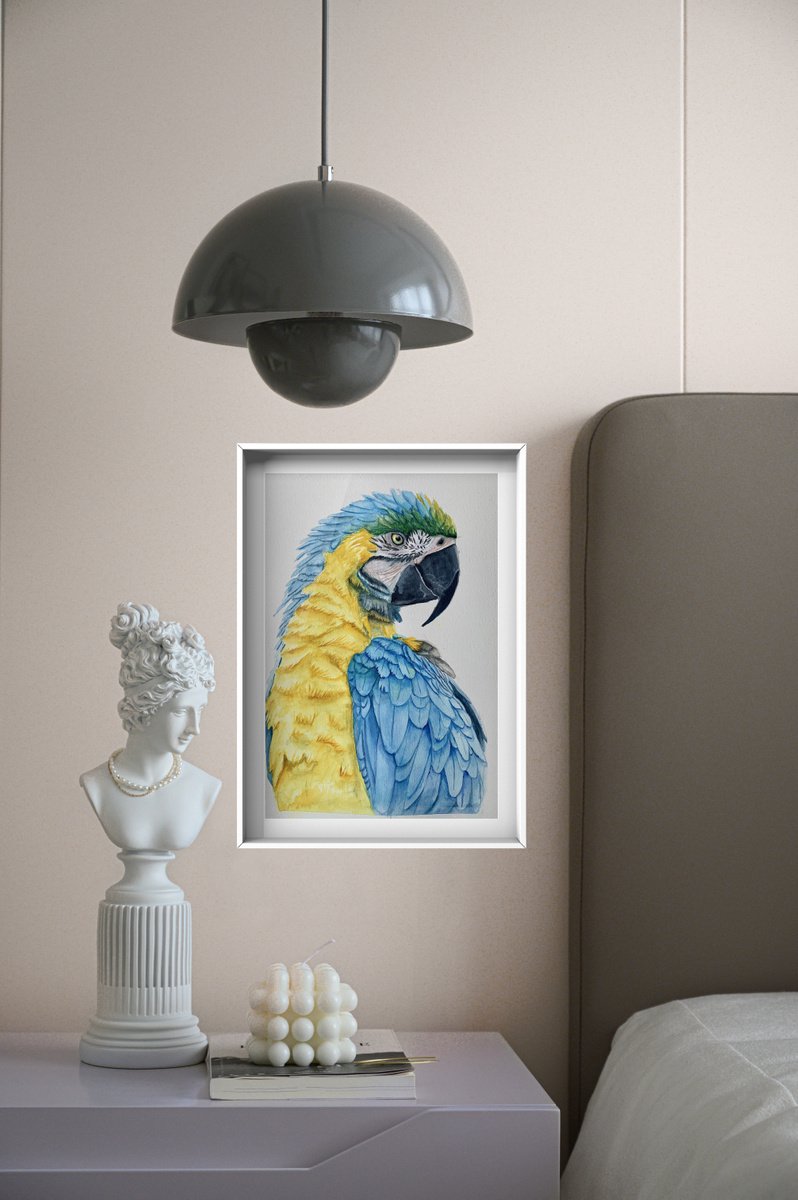 Blue and Yellow Parrot by Lucia Kasardova