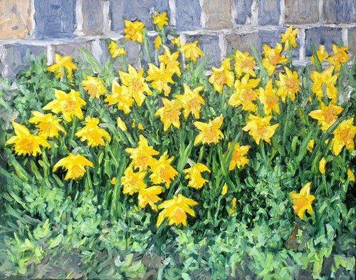 the daffodils by Colin Ross Jack