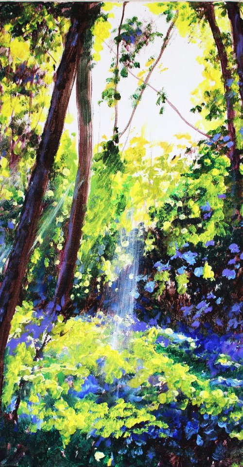 Sunlit Copse 2 by Rod Bere