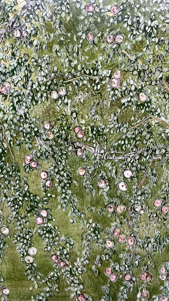 View from the window of an apple orchard.