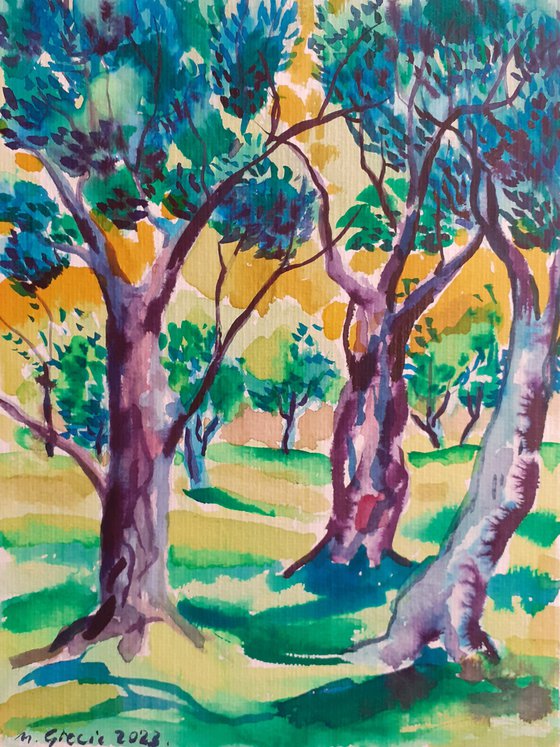 Three olive trees