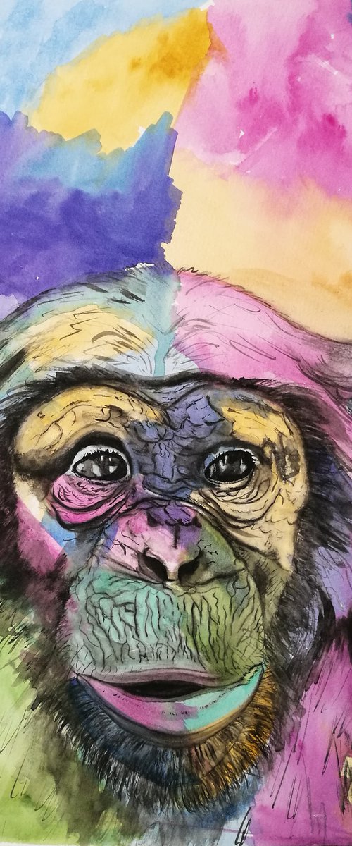Cheeky Chimp. Monkey Watercolour Painting. 29.7cm x 42cm. Free Shipping by Steven Shaw