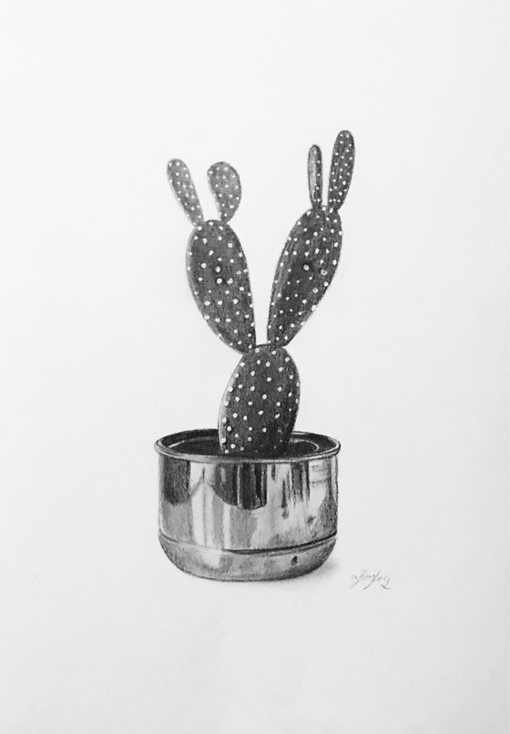 Cactus