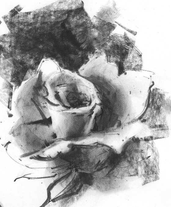 "Rose garden" - original charcoal sketch with calligraphic inscription