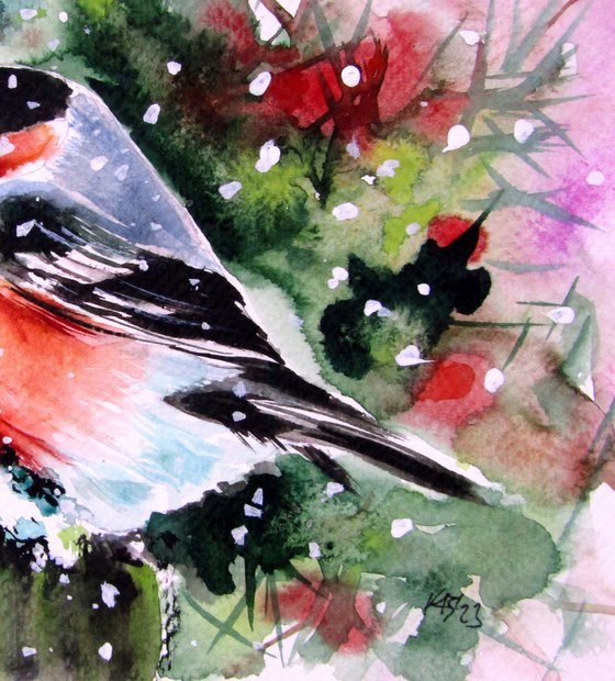 Bullfinch