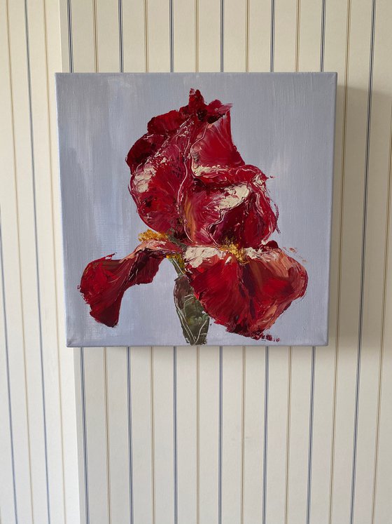 RED IRIS - original floral painting on canvas