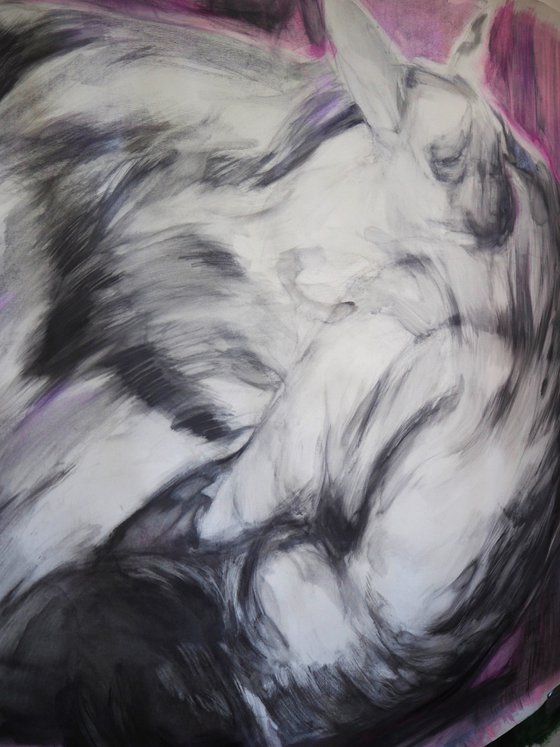 No title II (Hyenas)