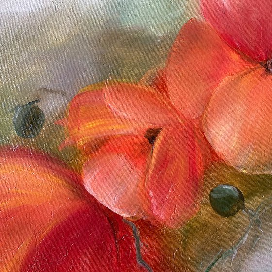 Poppies on Olive