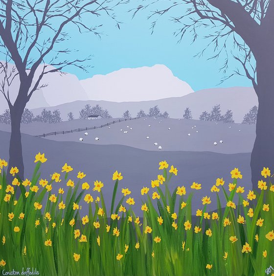 Coniston daffodils, The Lake District
