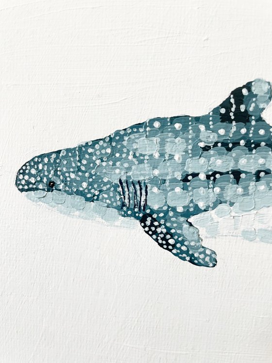 Whale Shark