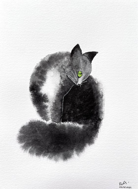 Fluffy black cat