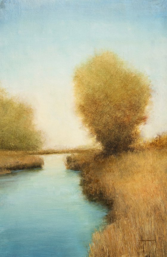 Blue Wetlands 251230