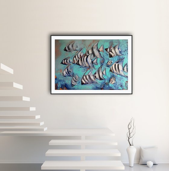 Angels fish