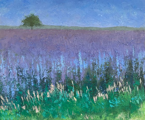 Summer Field