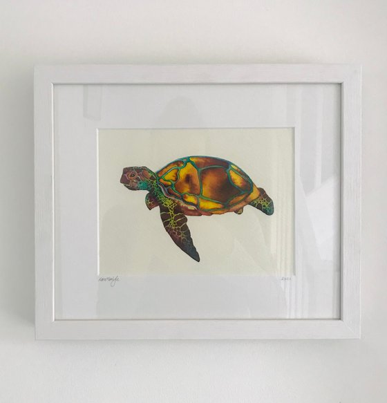 Turtle