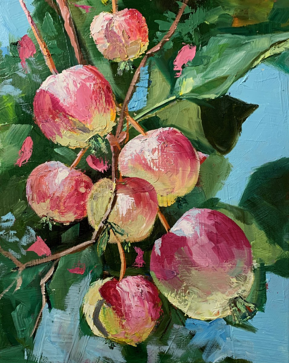 Apples in a garden. by Vita Schagen