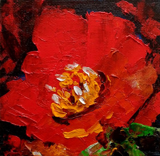 Red Floral Painting Small Original Art Flower Artwork Poppy Wall Art