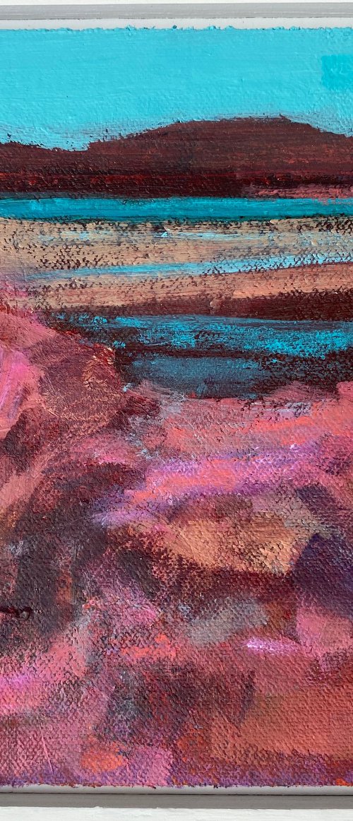 Roseate Shore by Chrissie Havers