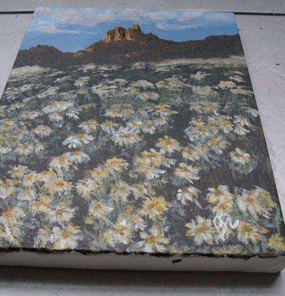 Field With Yellow Daisies - SOLD