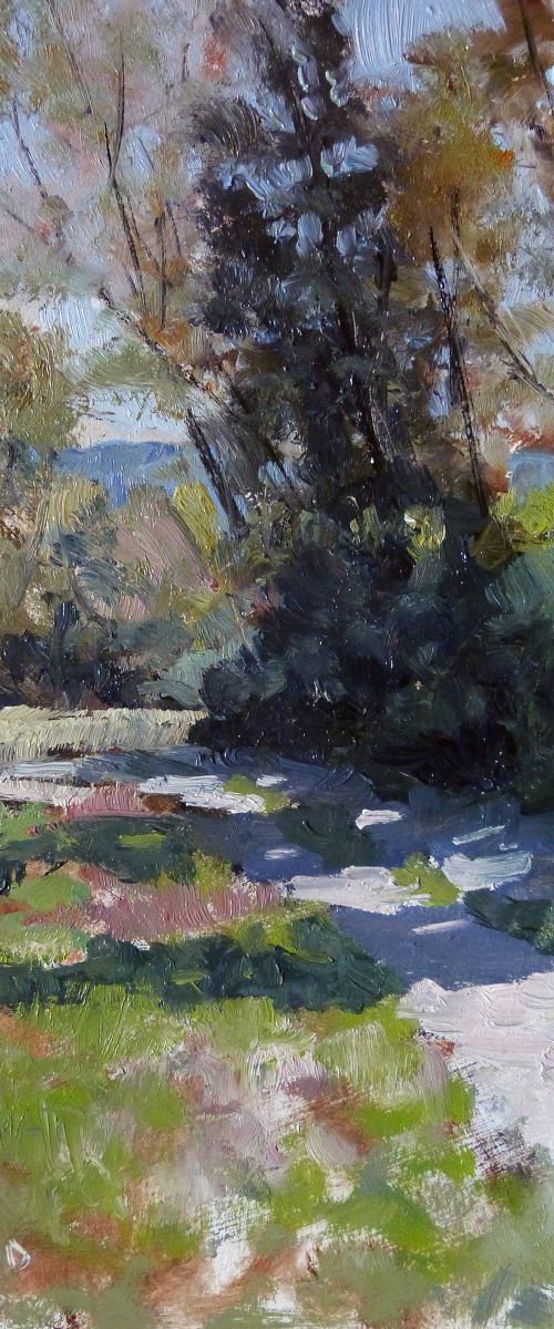 Path in Haute-Provence by Pascal Giroud