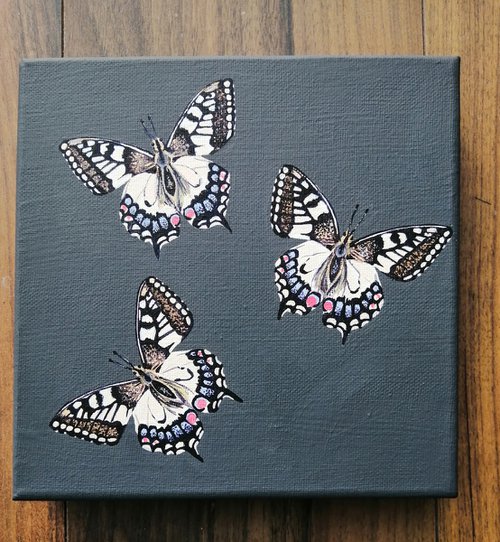 Swallowtail by Joanne  Hill