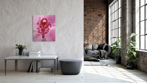 Orchid - a flower of femininity and passion, number 2