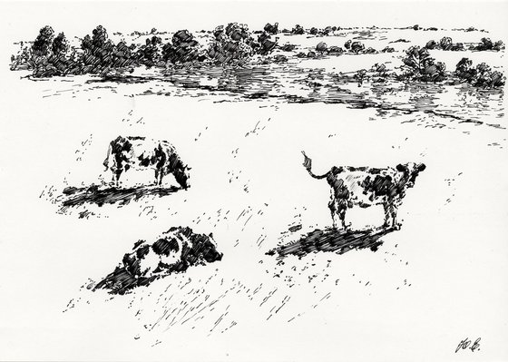 Grazing cows