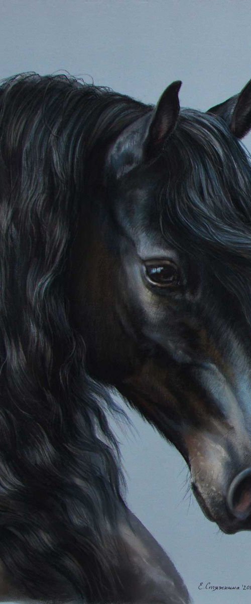 Black horse head on light blue. Black Prince. by Ekaterina Styazhkina