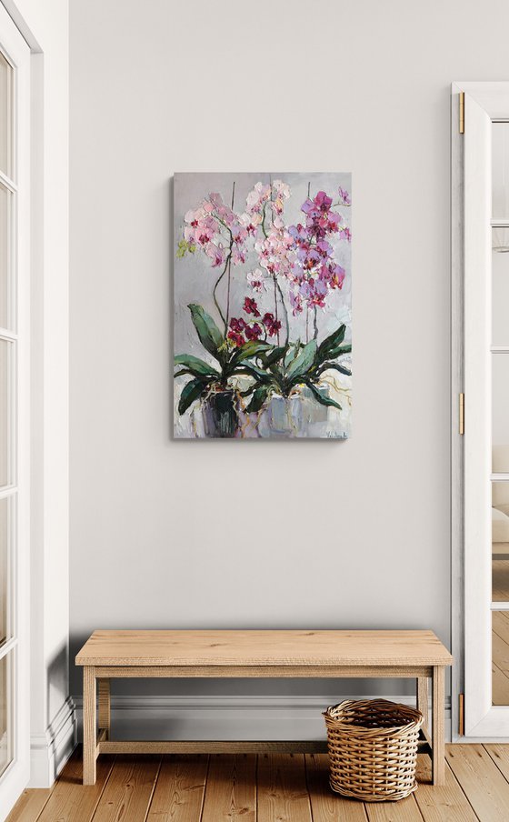 Blooming Orchids