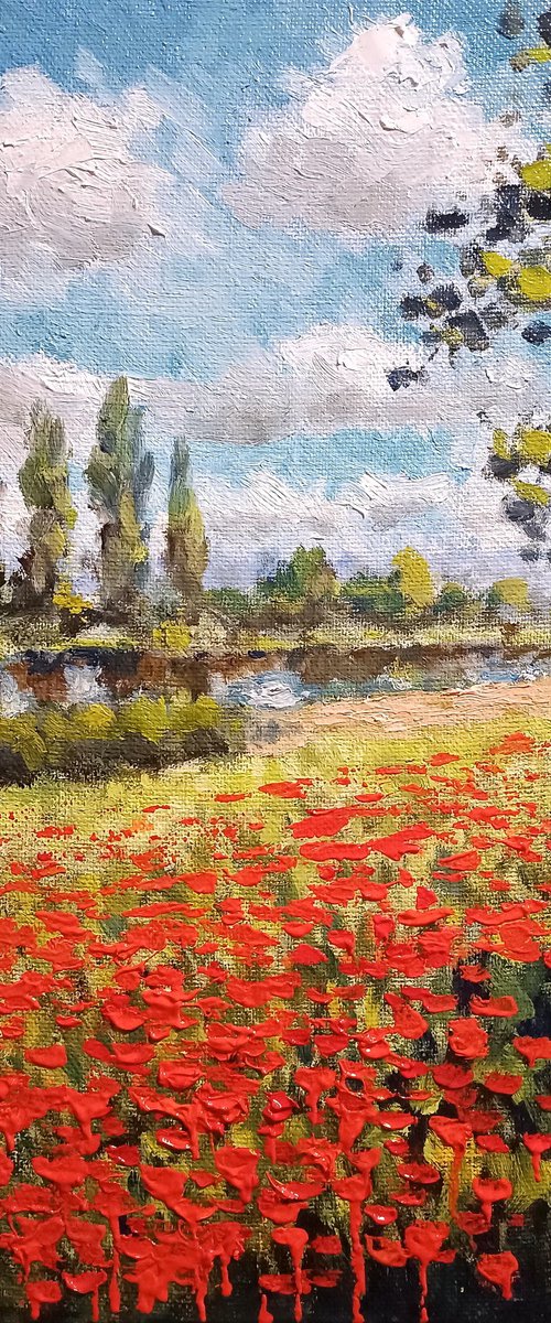 Poppy field of Ukraine by Oleh Rak