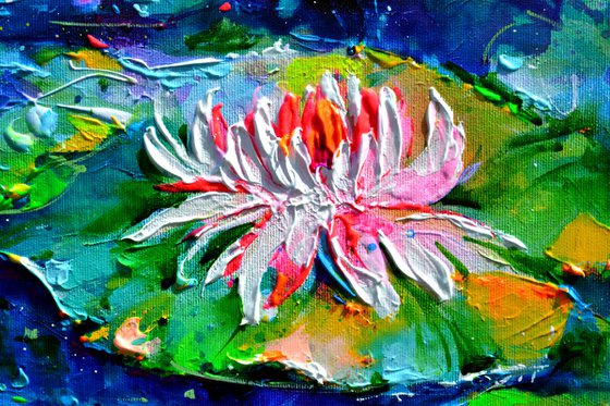 Water Lilies on the Pond