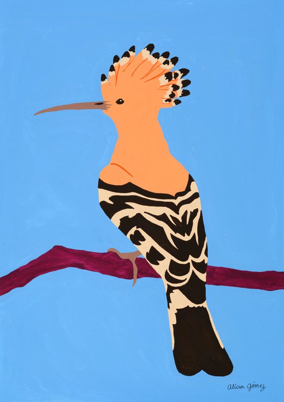 Hoopoe