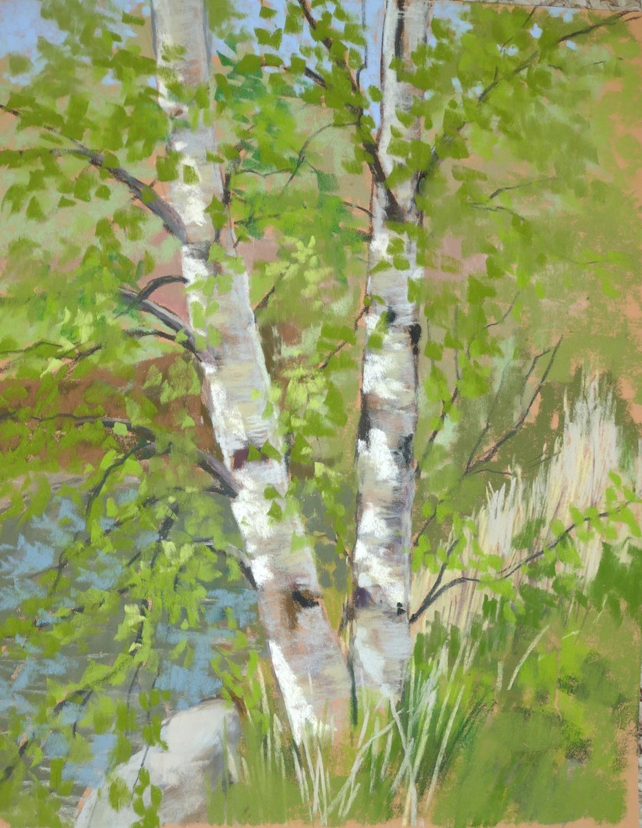 Impressionistic Landscape Painting By Joanne Carmody Meierhofer, 12 X 14, Birches Plein Air, Original Artwork